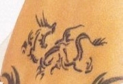 dragon tribal